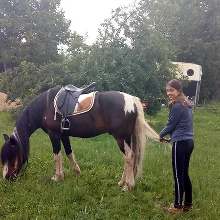 Restyled Bohemian Mobil La Vie En Rose * Montclera