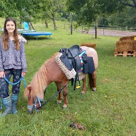 Restyled Bohemian Mobil La Vie En Rose *