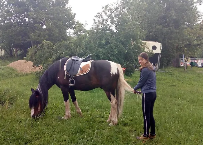 Restyled Bohemian Mobil La Vie En Rose * Montclera