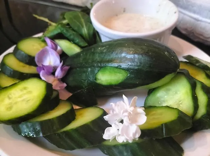 Restyled Bohemian Mobil La Vie En Rose Apartment Montclera