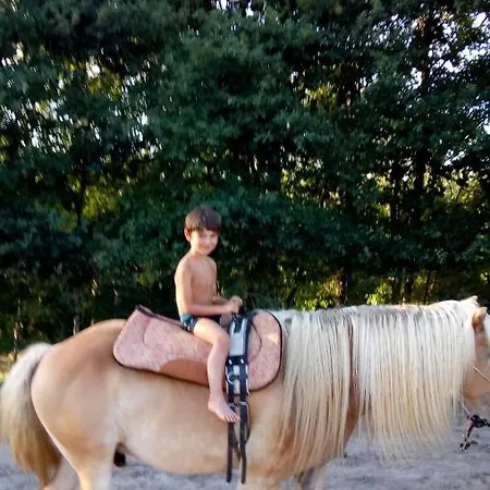 Restyled Bohemian Mobil La Vie En Rose Daire *