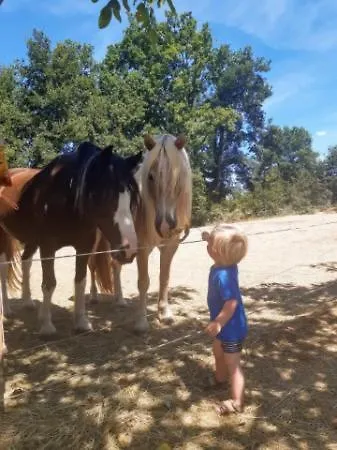 דירה Restyled Bohemian Mobil La Vie En Rose