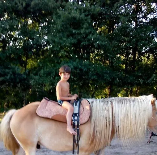 Restyled Bohemian Mobil La Vie En Rose Lejlighed *