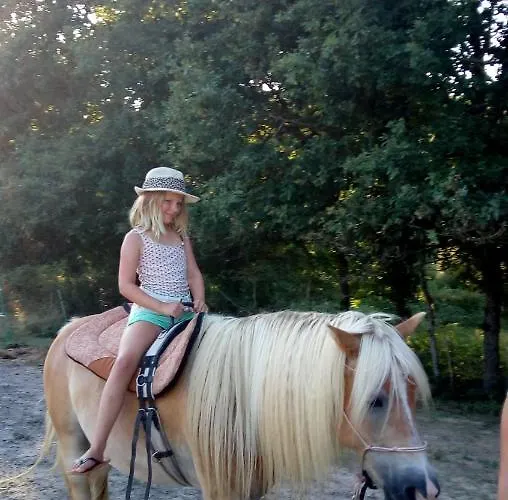 Restyled Bohemian Mobil La Vie En Rose * Montcléra