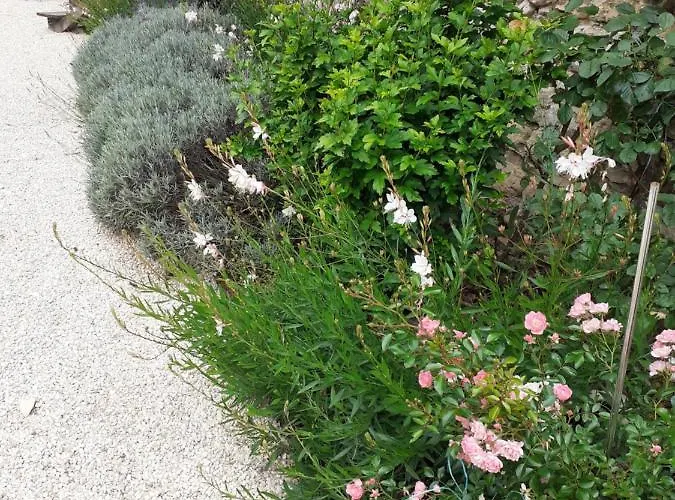 Restyled Bohemian Mobil La Vie En Rose Lejlighed