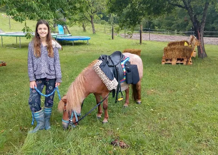 Restyled Bohemian Mobil La Vie En Rose *